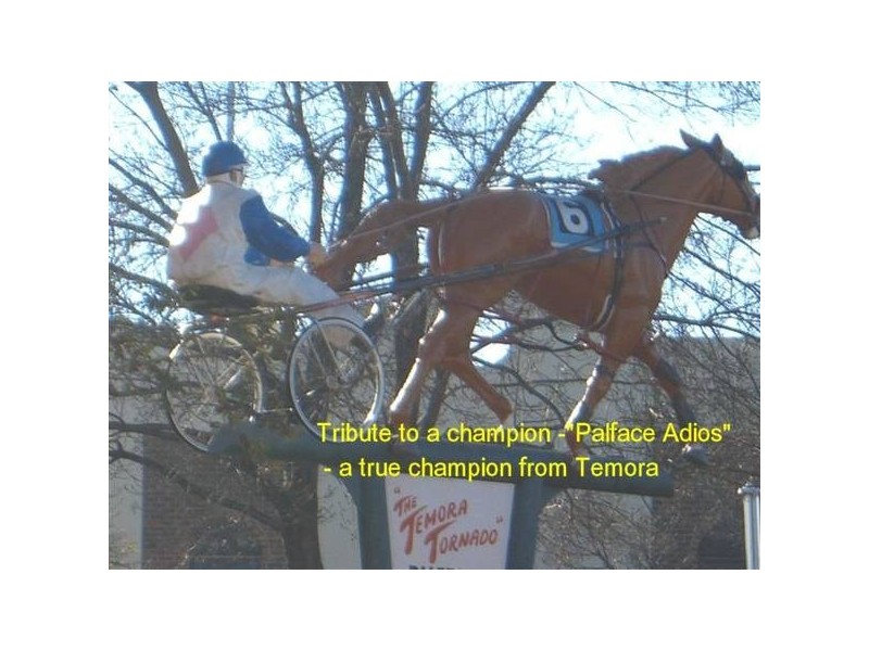 22 Joffre Street, Temora NSW 2666