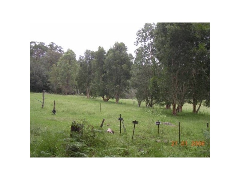 141 Doyles Creek Road, Webbs Creek NSW 2775