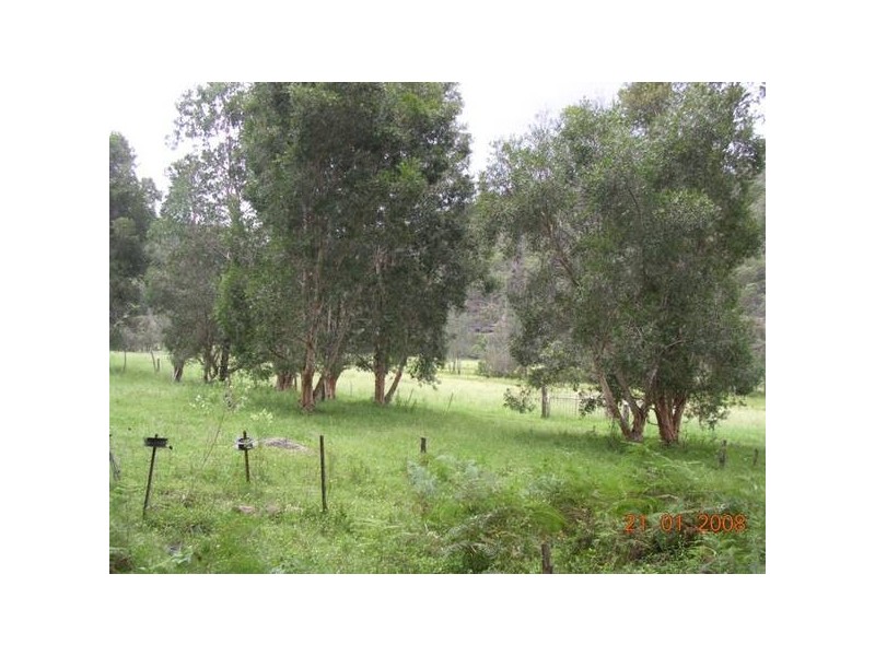 141 Doyles Creek Road, Webbs Creek NSW 2775