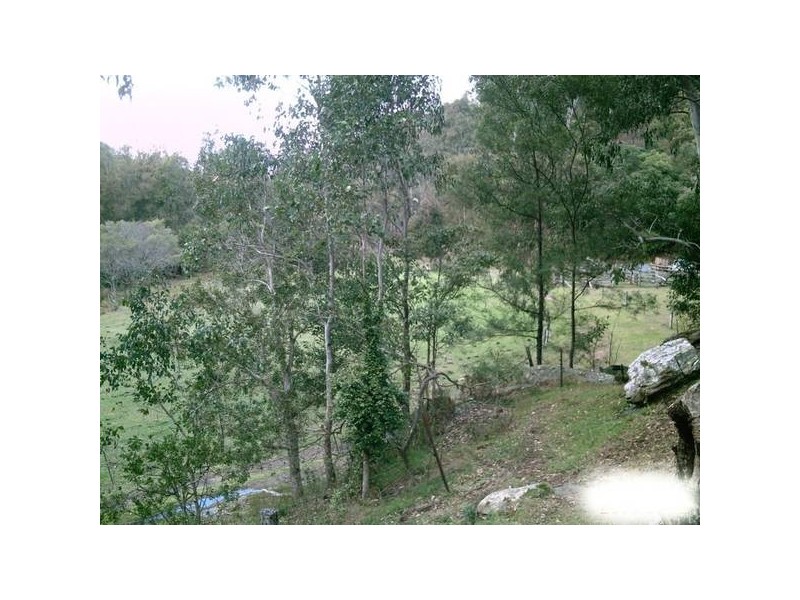 141 Doyles Creek Road, Webbs Creek NSW 2775