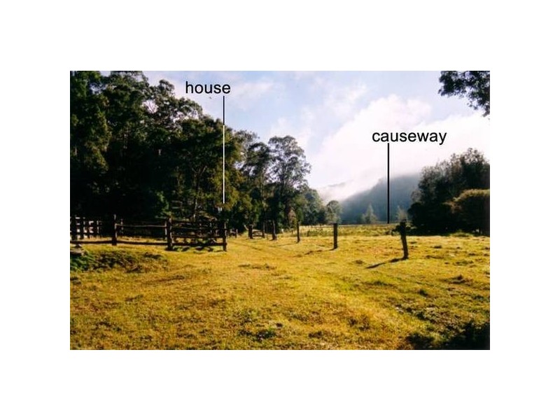 141 Doyles Creek Road, Webbs Creek NSW 2775
