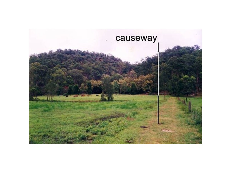 141 Doyles Creek Road, Webbs Creek NSW 2775