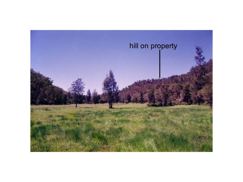 141 Doyles Creek Road, Webbs Creek NSW 2775