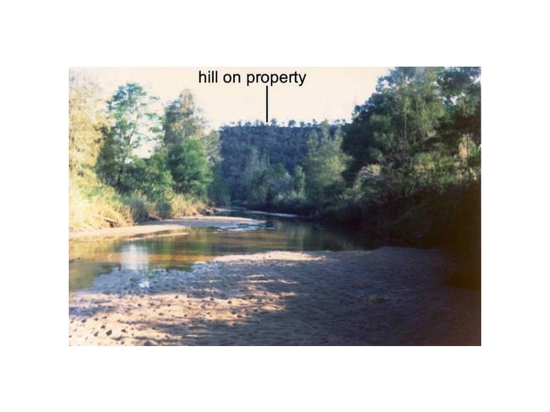 141 Doyles Creek Road, Webbs Creek NSW 2775