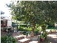 26 Cox Street, South Windsor NSW 2756