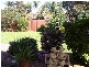 3 Bateman Place, Bligh Park NSW 2756