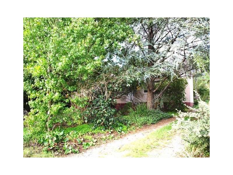 22 Alwyn Street, Croydon VIC 3136