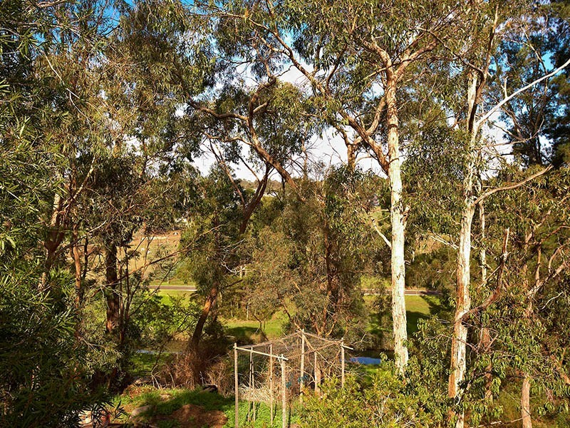 5 Dirkala Avenue, Heathmont VIC 3135