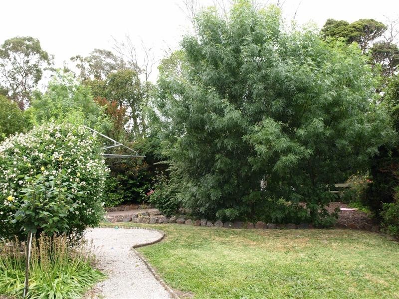 5 Dublin Road, Ringwood East VIC 3135