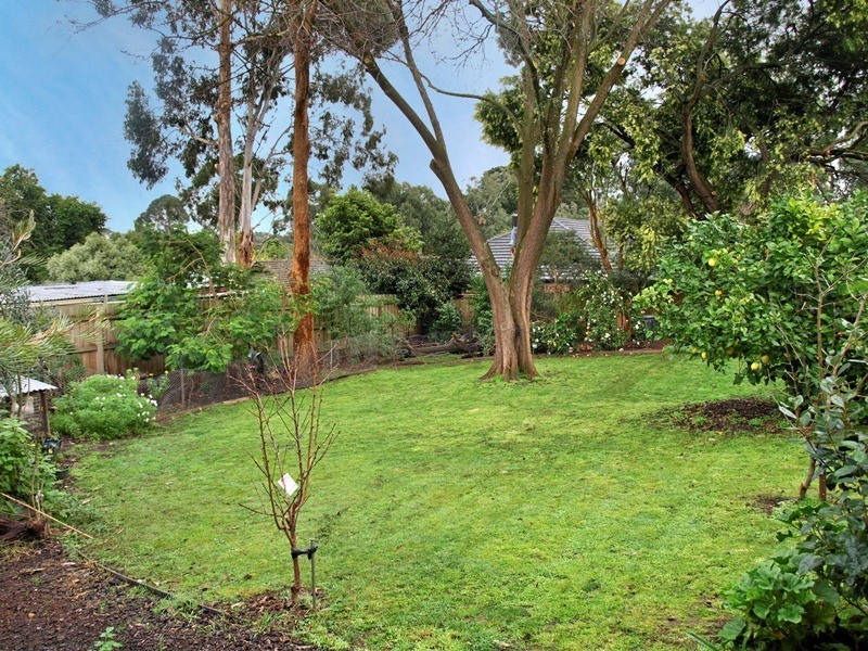 23 Coven Avenue, Heathmont VIC 3135