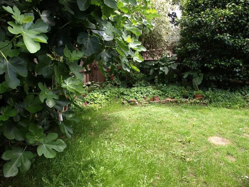 5 Adele Court, Ringwood VIC 3134