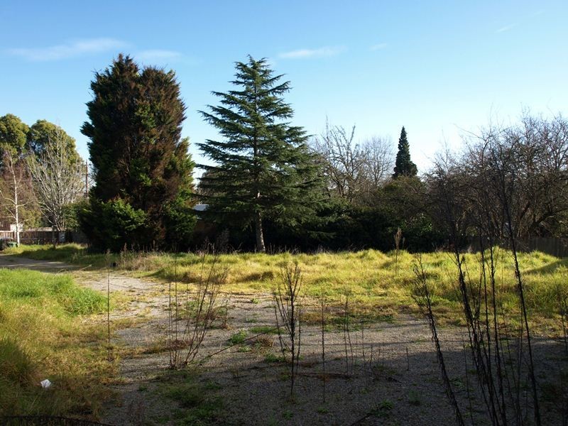 49 Morinda Street, Ringwood East VIC 3135