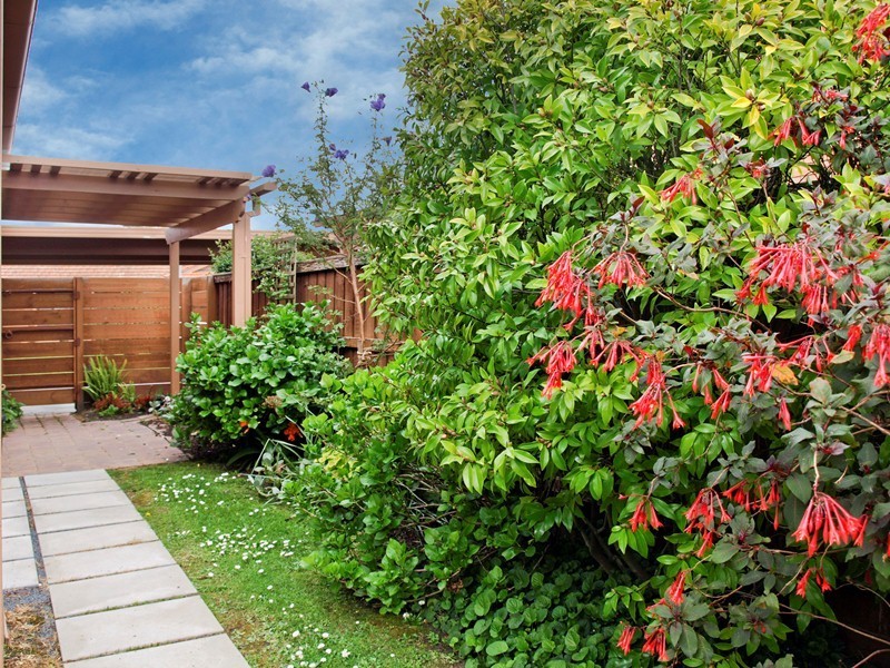 172/67-81 Maroondah Highway, Croydon VIC 3136