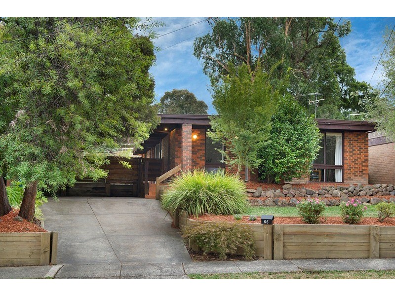 55 Jeffrey Drive, Ringwood VIC 3134