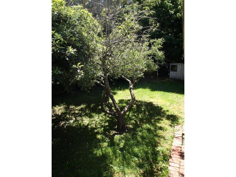 2/17 Heathwood Street, Ringwood East VIC 3135