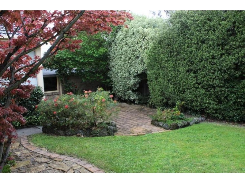 16 Tracey Drive, Vermont South VIC 3133