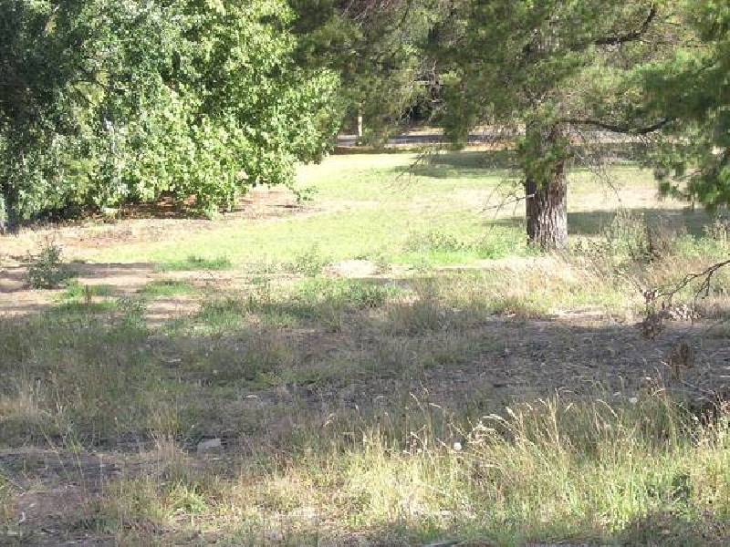 4 Grey Street, Ringwood East VIC 3135