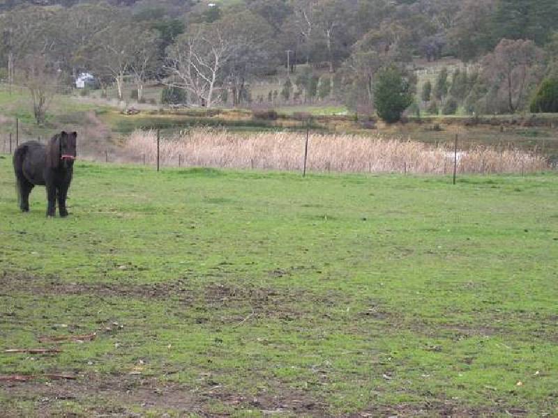 100 Brysons Road, Warranwood VIC 3134