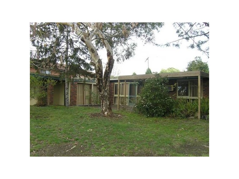 Daisy Street, Warranwood VIC 3134