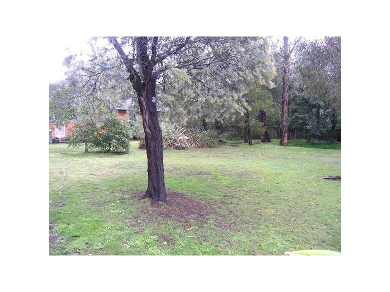 Vinter Avenue, Croydon VIC 3136