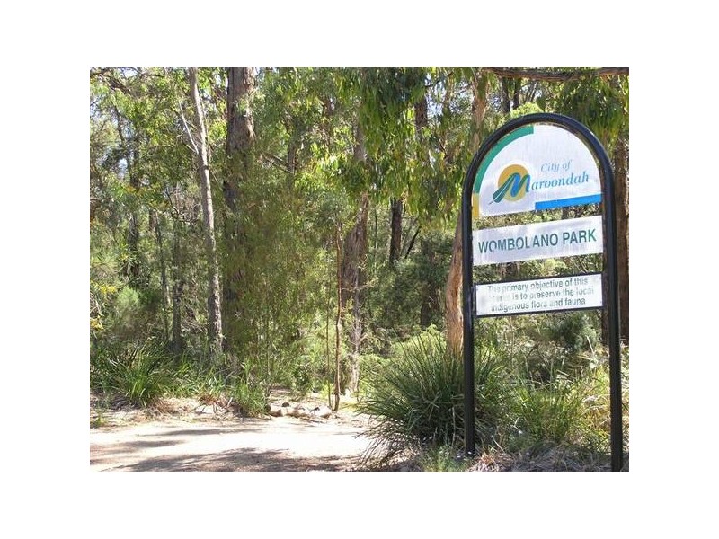 26 Pinewood Avenue, Ringwood East VIC 3135