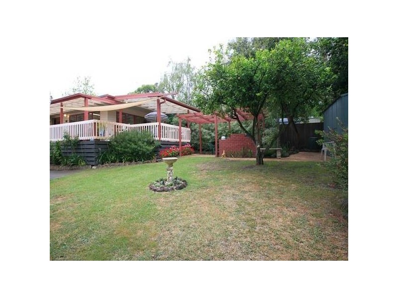 19 Herbert Street, Ringwood VIC 3134