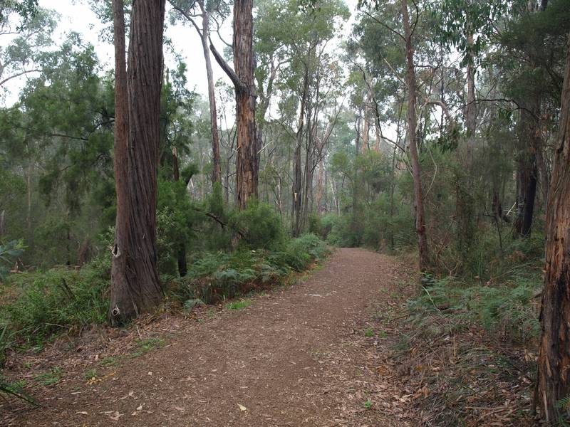 29 Blazey Road, Croydon South VIC 3136