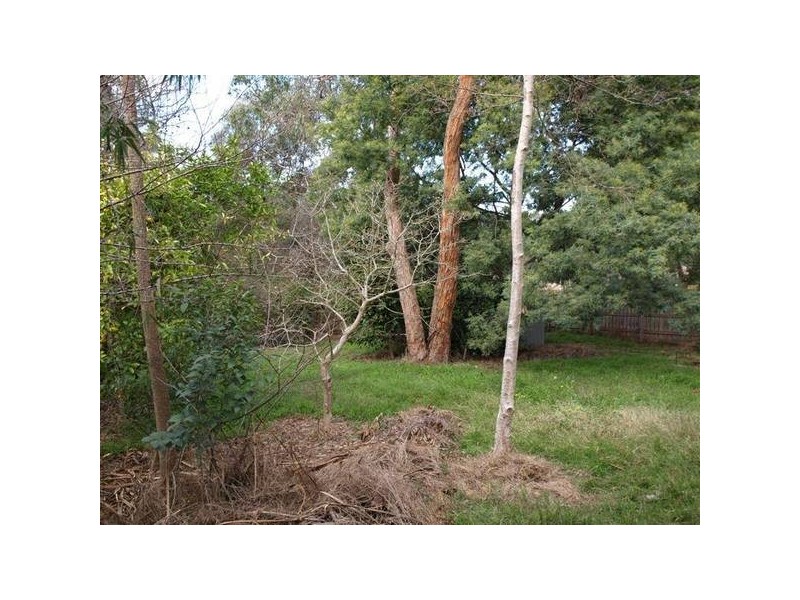 45 Andrew Crescent, Croydon South VIC 3136