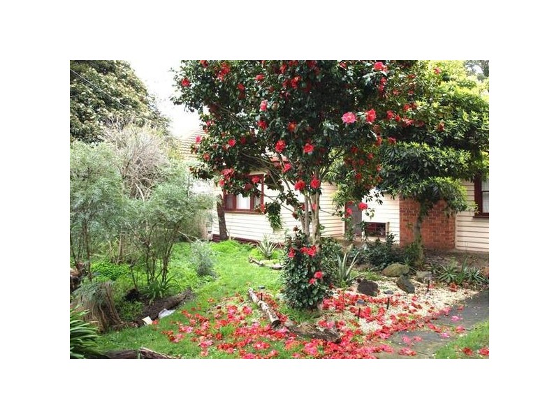 48 Bond Street, Ringwood VIC 3134