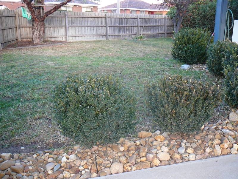 12 Hampstead Drive, Hoppers Crossing VIC 3029