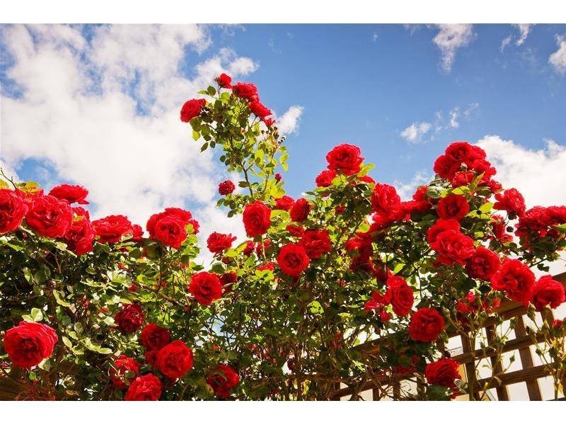 103B Tower Road, Werribee VIC 3030