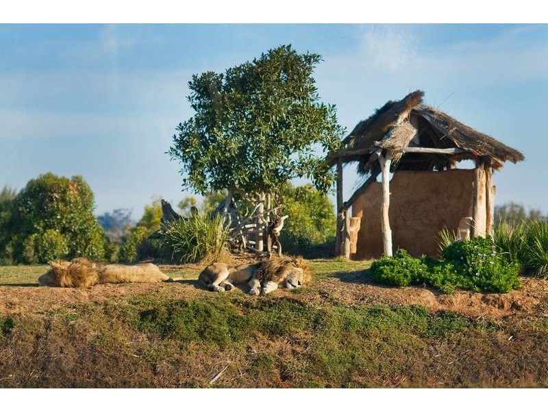 2/11 Filippin Court, Werribee VIC 3030