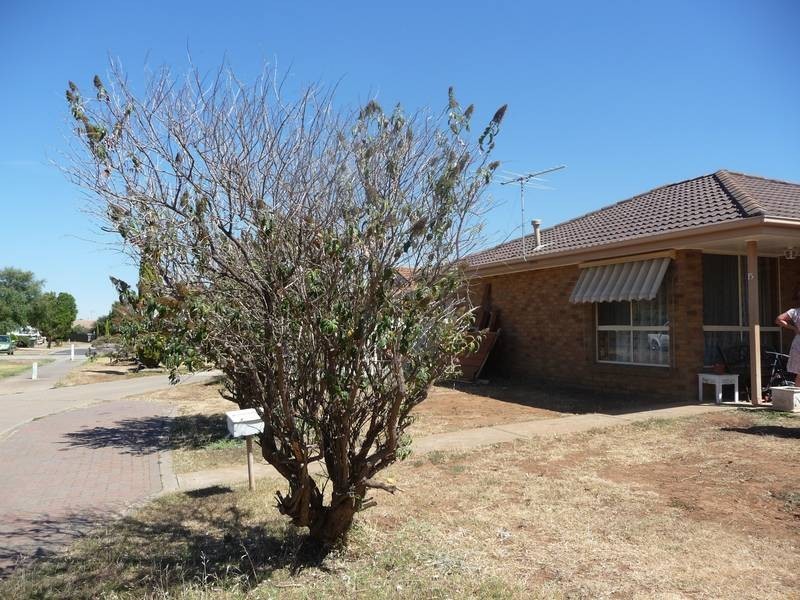 15 St Lawrence Close, Werribee VIC 3030