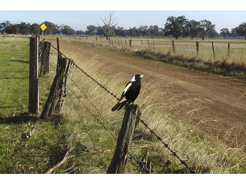 215 Dukelows Road, Mount Cottrell VIC 3024