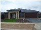 7 Begonia Road, Tarneit VIC 3029