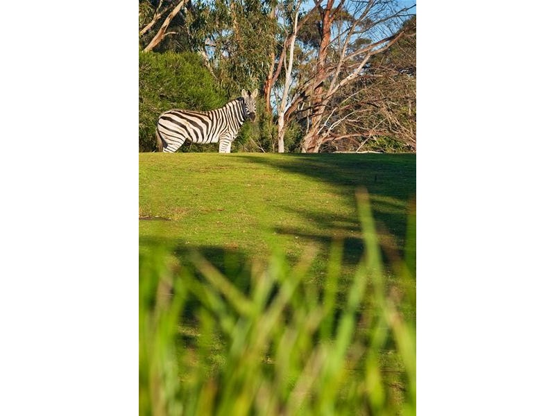 Lot 524/17 Mount Eagle Way, Wyndham Vale VIC 3024