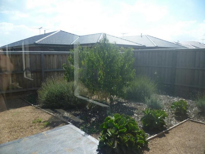 17 Crissa Street, Tarneit VIC 3029