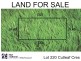 Lot 220/ Cutleaf Crescent, Tarneit VIC 3029