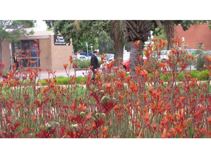 2/3 Synnot Street, Werribee VIC 3030