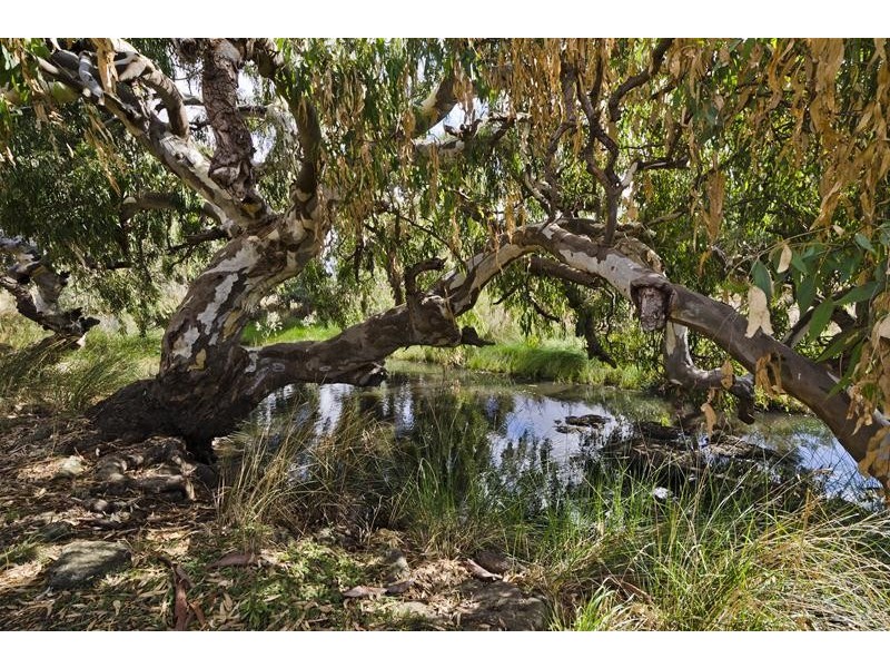 17 Gungurra Grove, Wyndham Vale VIC 3024