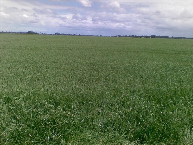 Lot 505/ Old Melbourne Road, Lara VIC 3212