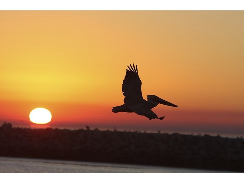 Lot 5,6 & 7, 245 Cherry Swamp Road, Little River VIC 3211