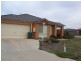 8 Parklea Way, Tarneit VIC 3029