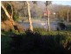 8150 Goulburn River Country Trail, Trawool VIC 3660