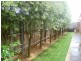 2/21 Trish Walk, Werribee VIC 3030