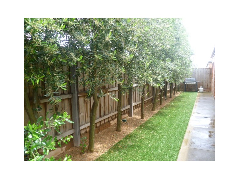 2/21 Trish Walk, Werribee VIC 3030