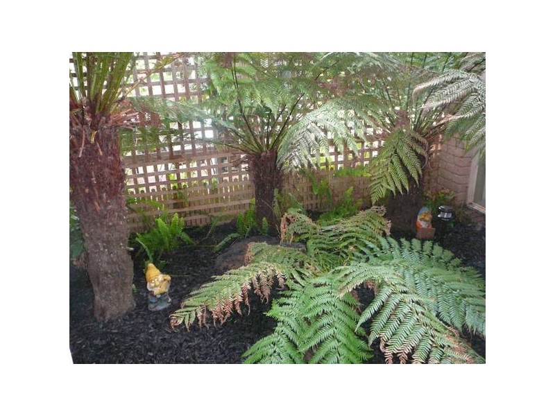 4 Lorena Close, Hoppers Crossing VIC 3029