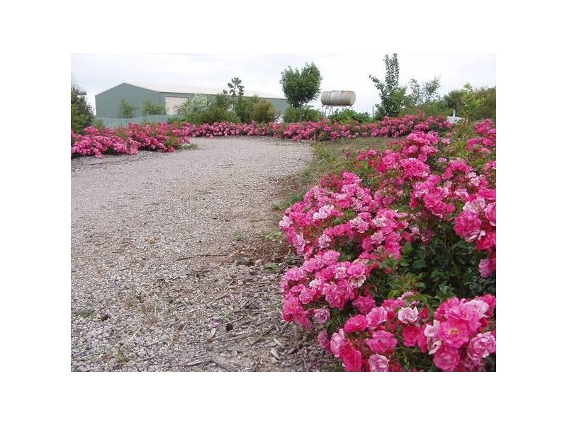 Faulkners Road, Mount Cottrell VIC 3024