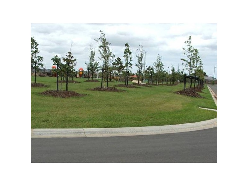 203 Papillon Street, Tarneit VIC 3029