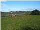 45 Regent Street, Little River VIC 3211